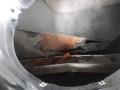 дверь передняя левая Audi Q7 4L 2007, 3.0 л., TDi, BUG, дизель, АКПП, черный, внедорожник 5 дв., полный привод - фото №8