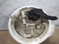насос топливный Audi A4 B8/8K 2010, 2.7 л., TDi, CGK, дизель, МКПП, белый, седан, передний привод, 8K0919050H - фото №3