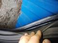 дверь задняя левая Jaguar S-Type 1 поколение [рестайлинг] 2005, 2.7 л., TDi, дизель, АКПП, седан - фото №7